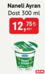 DOST NANELİ AYRAN 300 ML fiyat ve kampanya bilgisi